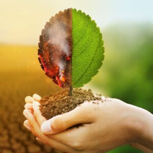 Terapia koherencji- praktyka terapeutyczna - warsztaty pogłębione